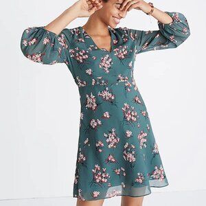 Madewell Marguerite Dress in Butterfly Garden (Green Floral)